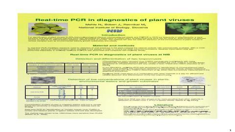 Real-time PCR in Diagnostics of Plant Viruses