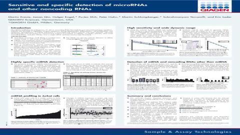 Sensitive and Specific Detection of microRNAs