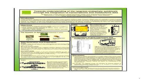 Towards Understanding of Ryegrass-Endophyte Symbiosis through Data Integration of Transcriptome and Metabolome