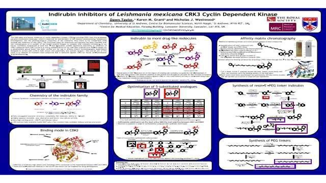 Indirubin inhibitors of Leishmania mexicana CRK3 Cyclin Dependent Kinase  content piece image 