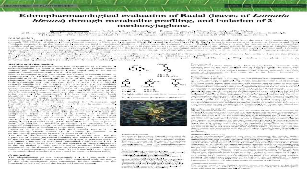 Ethnopharmacological Evaluation of Radal (leaves of Lomatia hirsuta) through Metabolite Profiling and Isolation of 2-Methoxyjuglone.