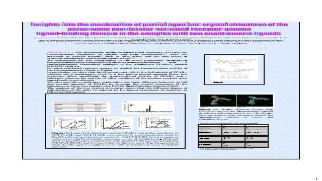 洞察的机理部分激动:晶体结构的过氧物酶体Proliferator-activated Receptor-gamma配体结合域的复杂的两个对映体配体内容块的形象