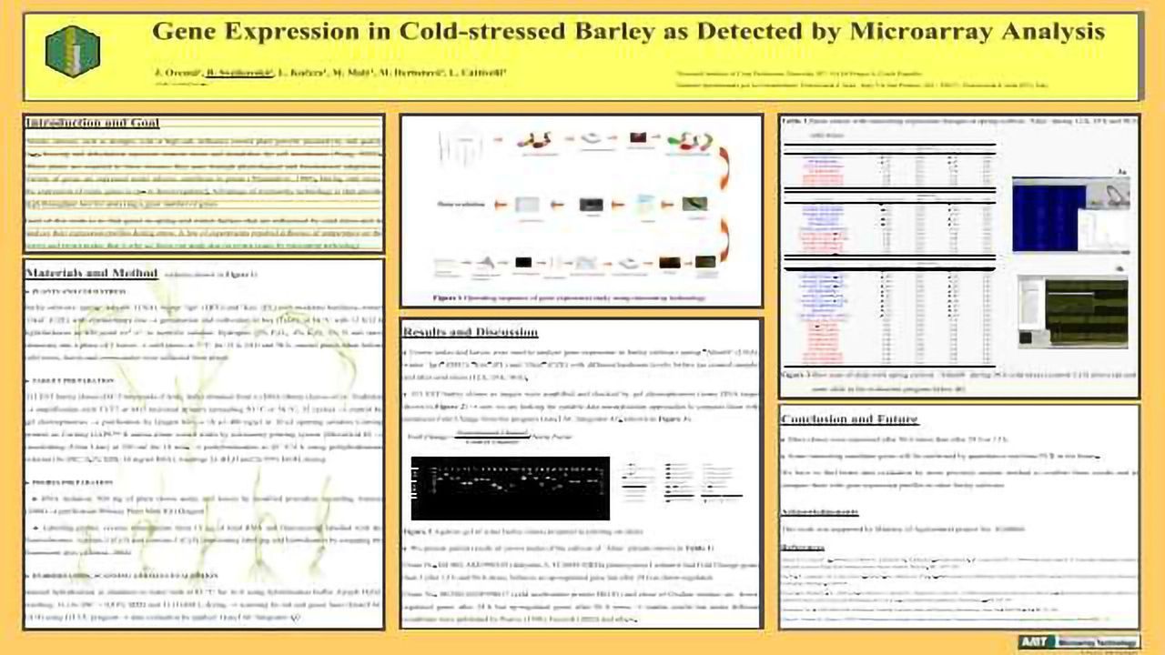 Gene Expression in Cold-stressed Barley as Detected by Microarray Analysis