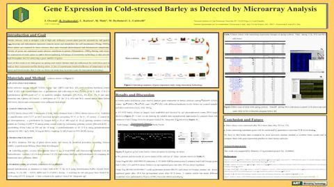 Gene Expression in Cold-stressed Barley as Detected by Microarray Analysis