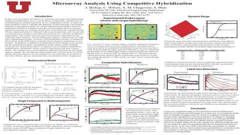 Microarray Analysis Using Competitive Hybridization