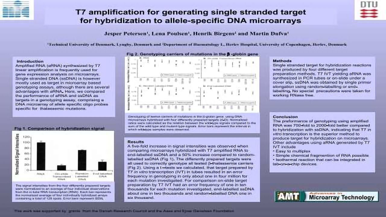 T7 Amplification for Generating Single Stranded Target for Hybridization to Allele-Specific DNA Microarrays