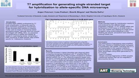 T7 Amplification for Generating Single Stranded Target for Hybridization to Allele-Specific DNA Microarrays