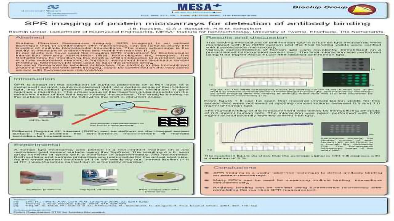 SPR Imaging of Protein Microarrays for Detection of Antibody Binding