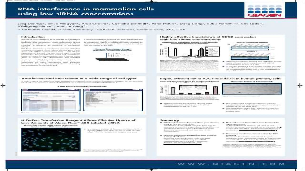RNA Interference in Mammalian Cells Using low siRNA Concentrations
