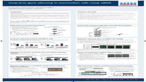 Long-term Gene Silencing in Mammalian Cells using siRNA