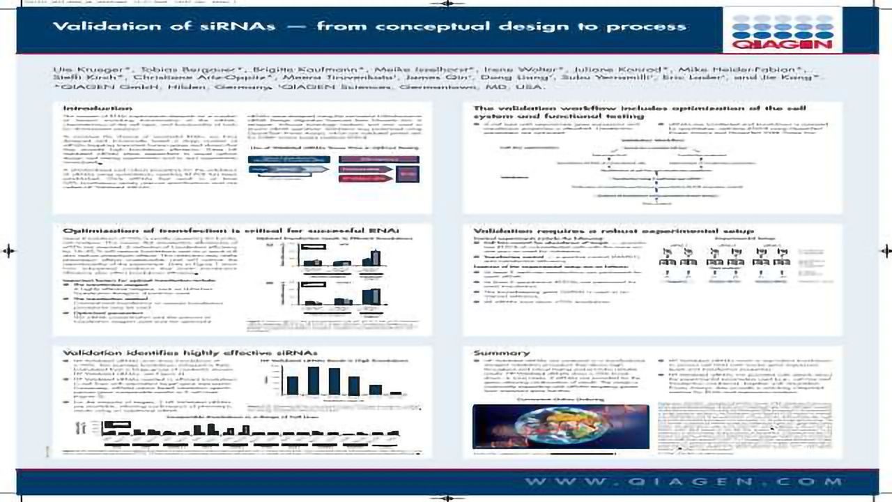 Validation of siRNAs - From Conceptual Design to Process
