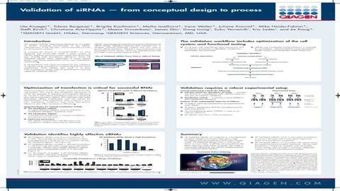 Validation of siRNAs - From Conceptual Design to Process