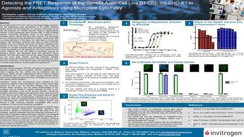 Detecting the FRET Response of the GeneBLAzer® Cell Line D1 CRE-bla CHO-K1 to Agonists and Antagonists using Microplate Cytometry