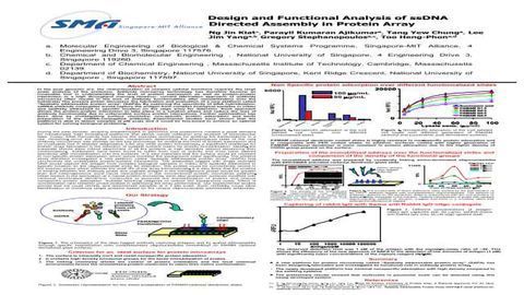Design and Functional Analysis of ssDNA Directed Assembly in Protein Array