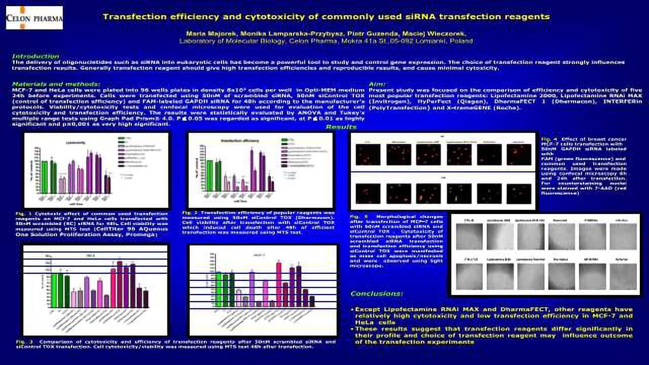 Transfection Efficiency and Cytotoxicity of Commonly Used siRNA Transfection Reagents