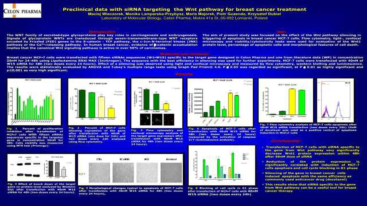Preclinical Data with siRNA Targeting WNT Pathway for Breast Cancer Treatment