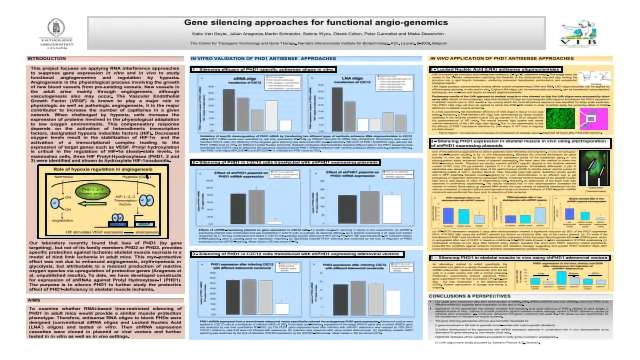 Gene Silencing Approaches for Functional Angio-Genomics