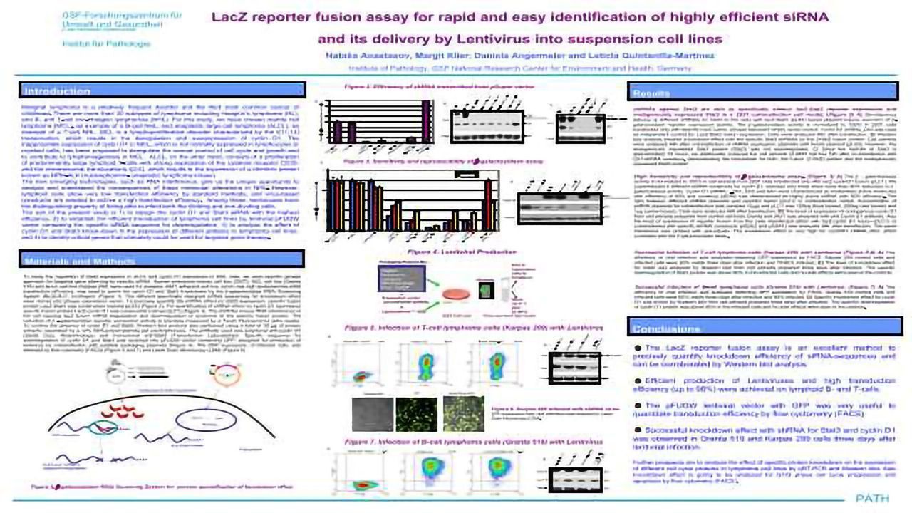 LacZ Reporter Fusion Assay for Rapid and Easy Identification of Highly Efficient siRNA and its Delivery by Lentivirus into Suspension Cell Lines