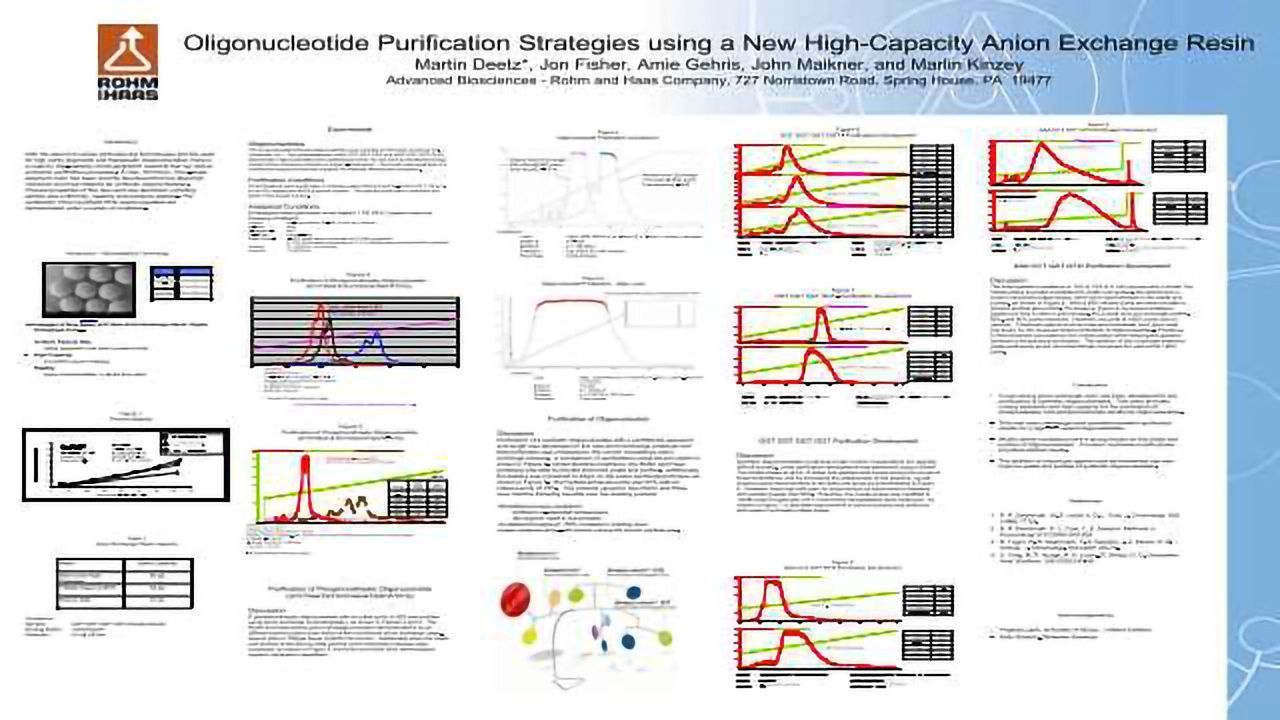 Oligonucleotide Purification Strategies using a New High-Capacity Anion Exchange Resin