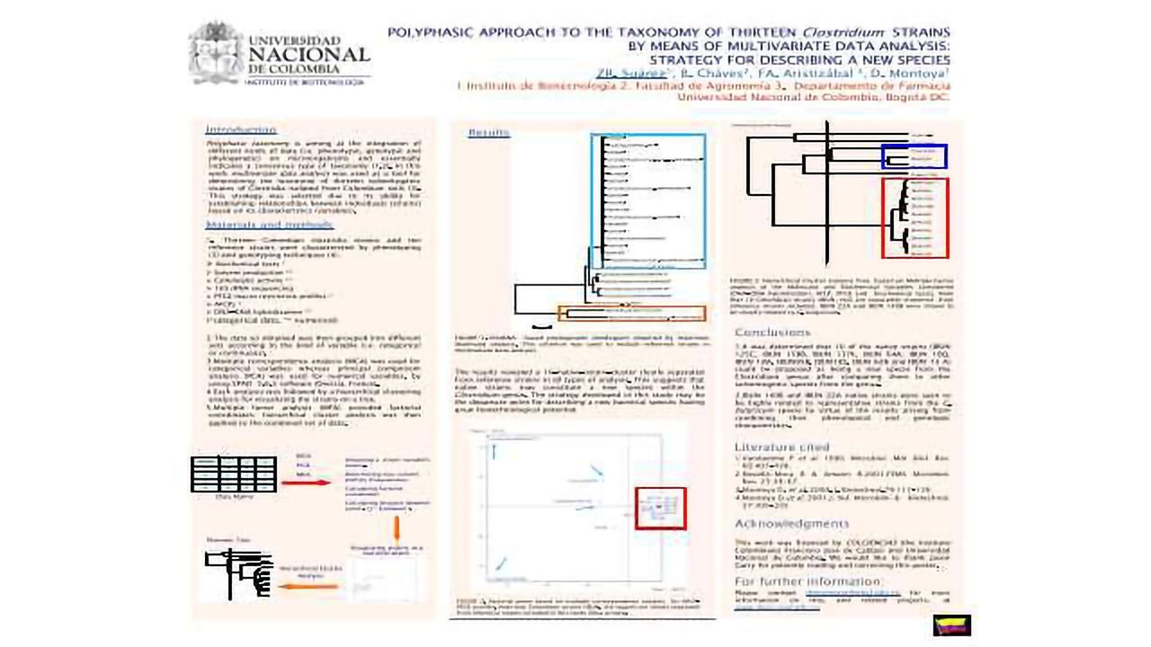 Polyphasic Approach to the Taxonomy of Thirteen Clostridium Strains by Means of Multivariate Data Analysis: Strategy for Describing a new Species