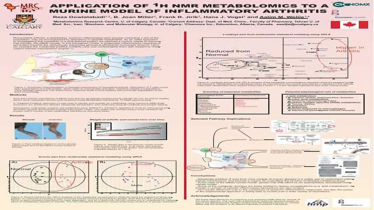 Application of 1H NMR Metabolomics to a Murine Model of Inflammatory Arthritis