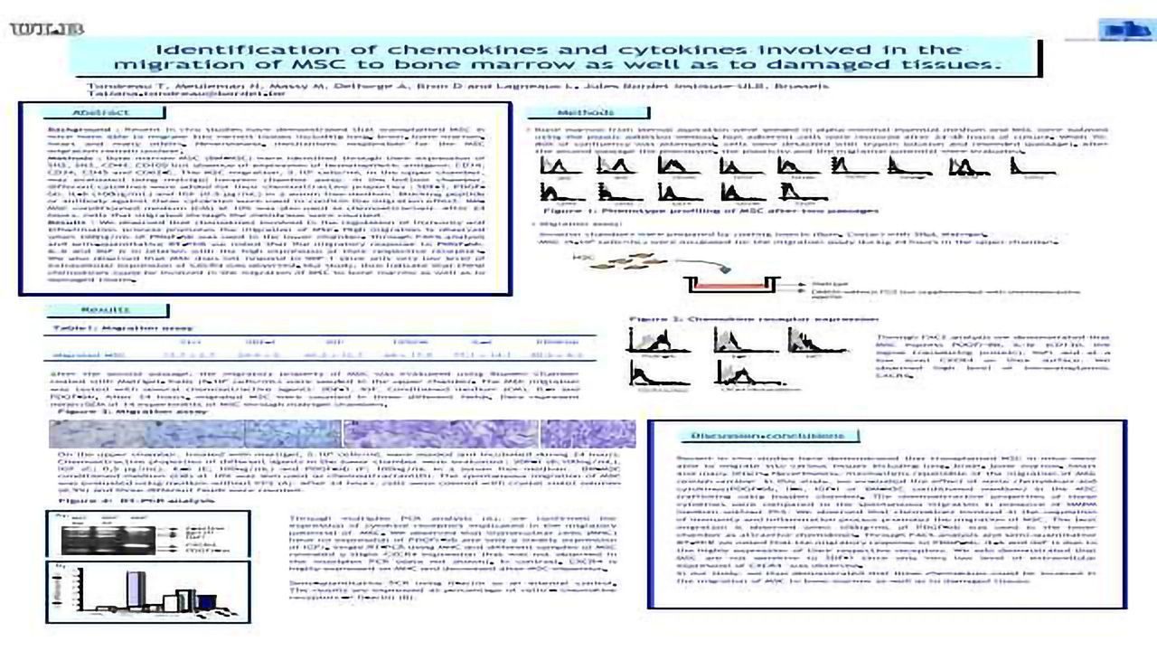 Identification of Chemokines and Cytokines Involved in the Migration of MSC to Bone Marrow as Well as to Damaged Tissues