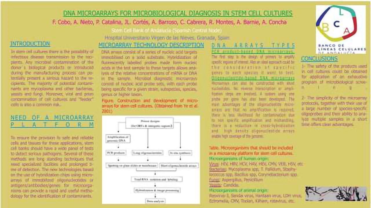 DNA Microarrays for Microbiological Diagnosis in Stem Cell Cultures