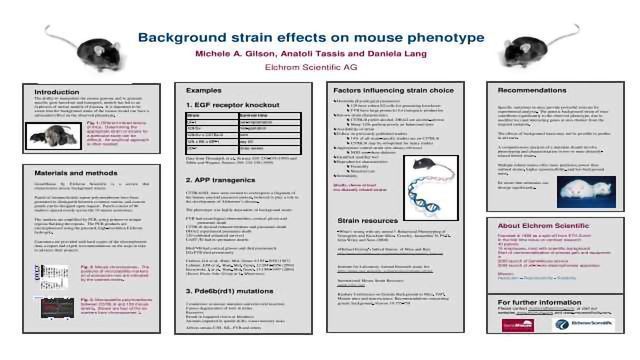 背景菌株对小鼠表型的影响内容块的形象