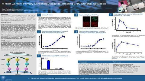 A High Content Primary Screening Assay Determining ERK and JNK Activation