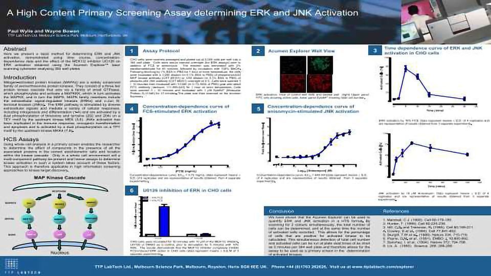 A High Content Primary Screening Assay Determining ERK and JNK Activation content piece image