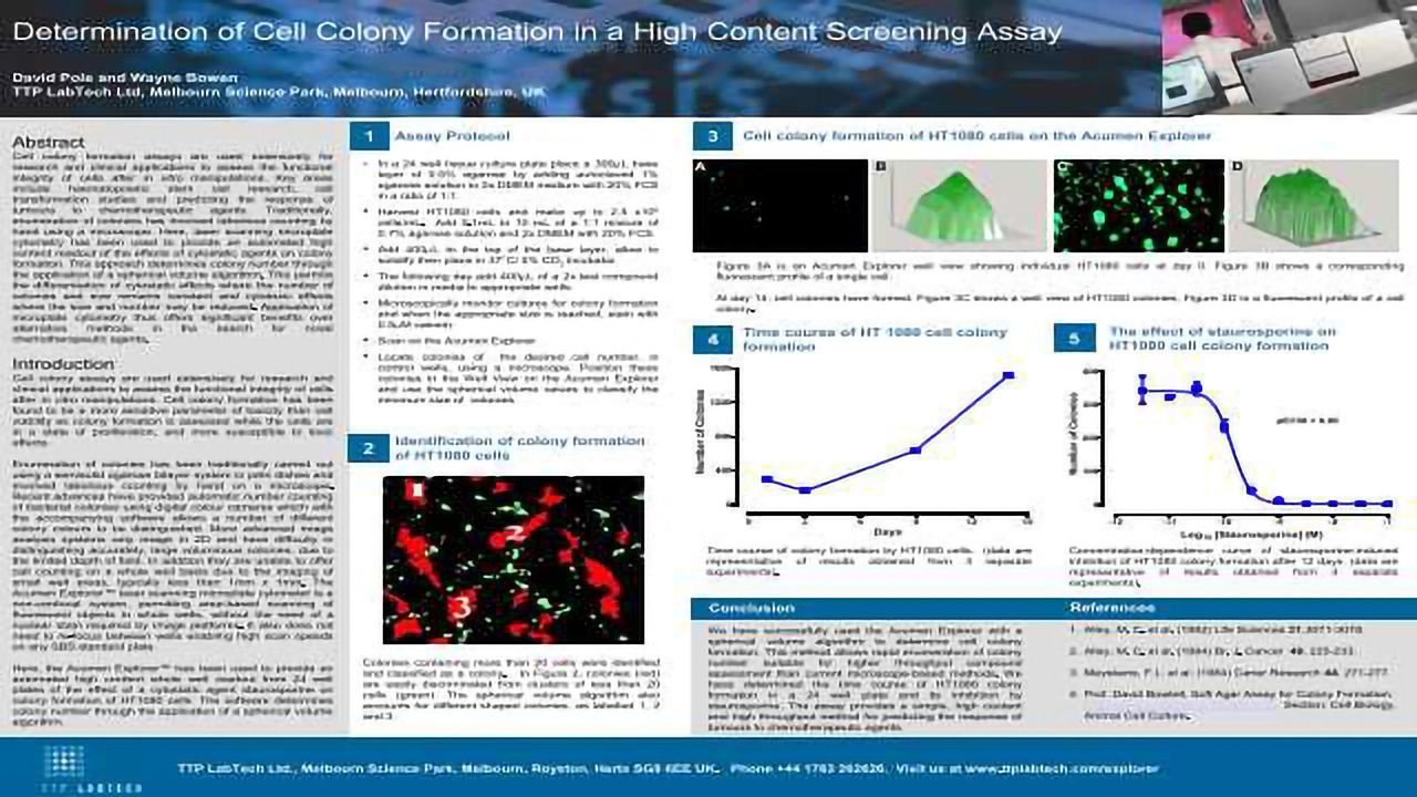 Determination of Cell Colony Formation in a High Content Screening Assay