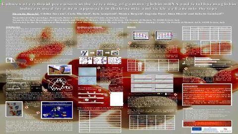 Cultures of Erythroid Precursors in the Screening of Gamma-Globin mRNA and Fetal Haemoglobin Inducers used for a new Approach in Thalassemia and Sickle Cell Anemia Therapy