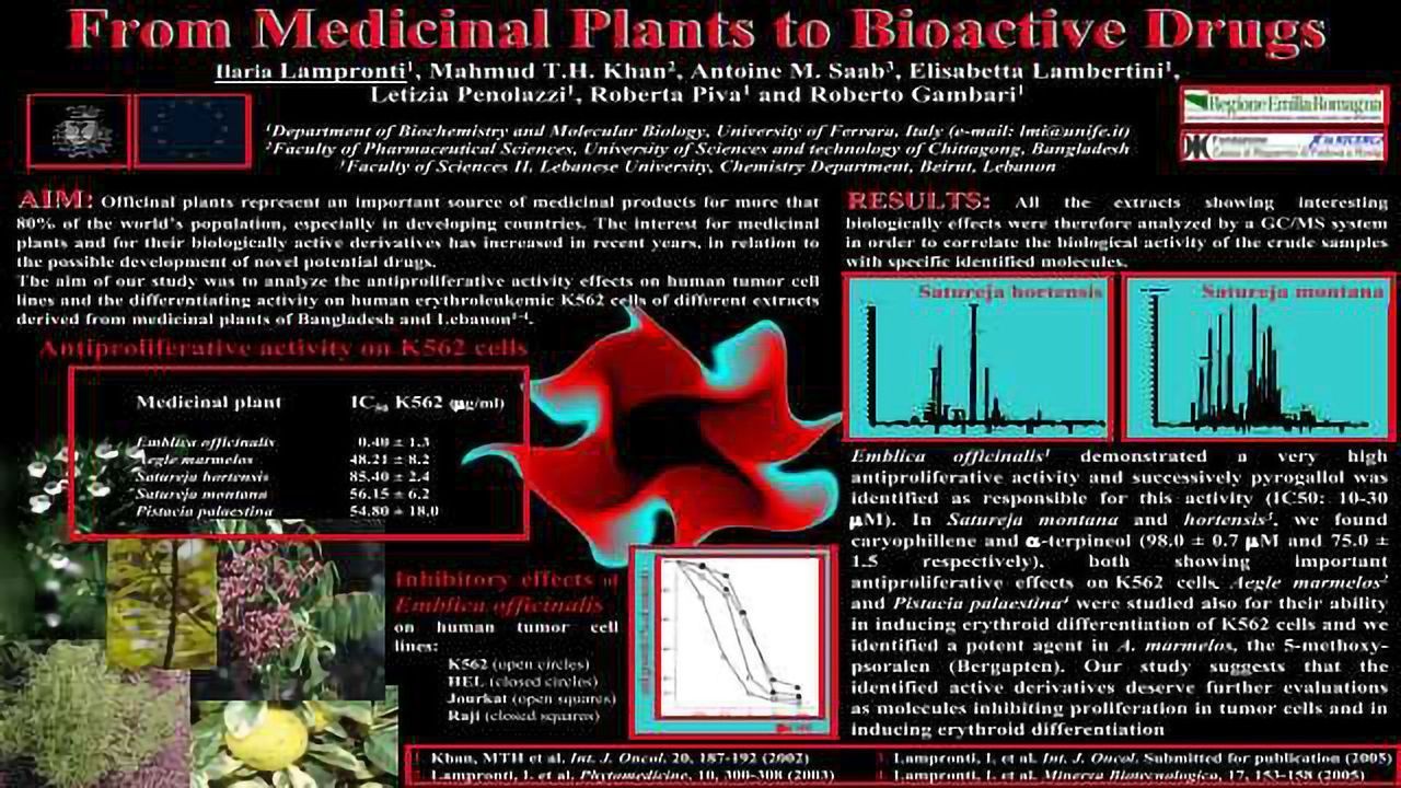 From Medicinal Plants to Bioactive Drugs