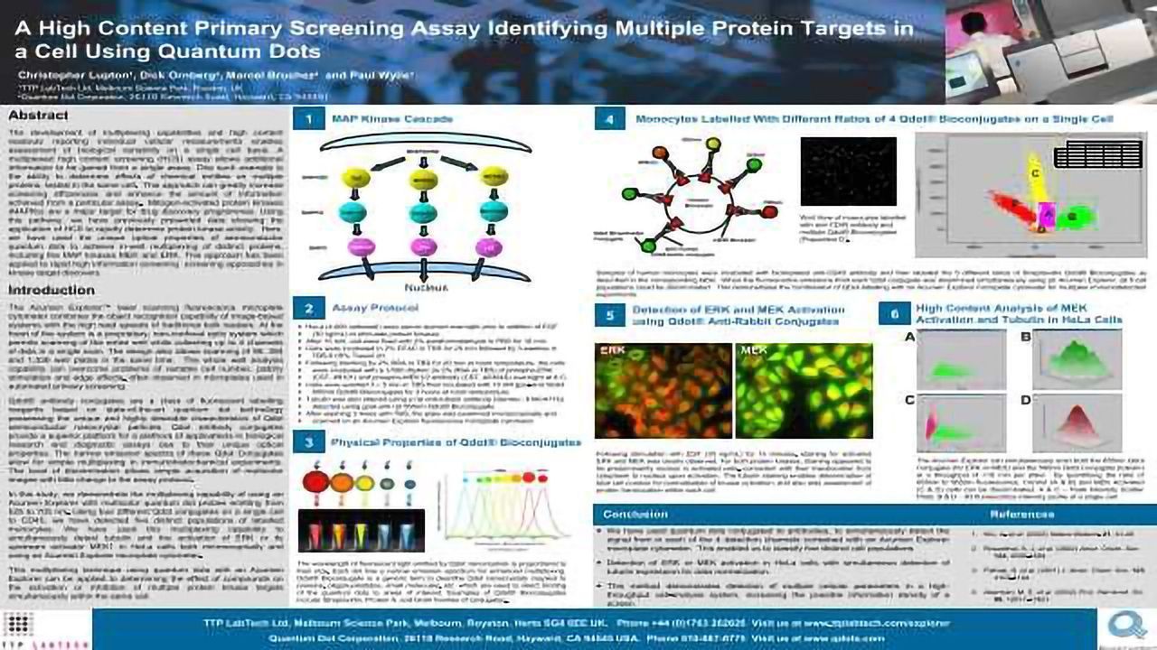 A High Content Primary Screening Assay Identifying Multiple Protein Targets in a Cell Using Quantum Dots