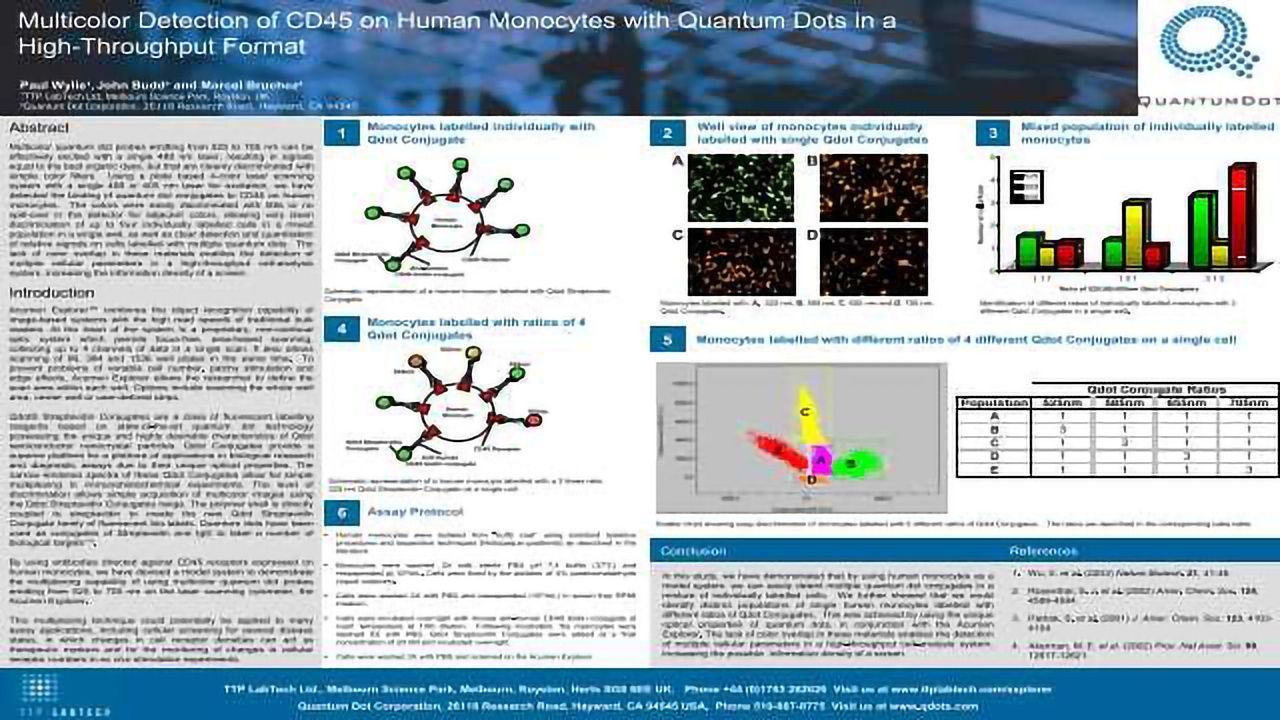 Multicolor Detection of CD45 on Human Monocytes with Quantum Dots in a High-Throughput Format