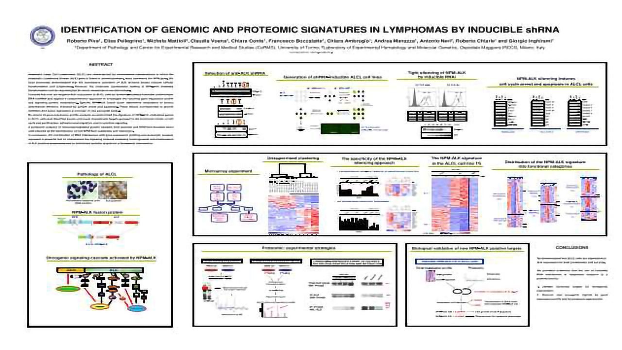 Identification of Genomic and Proteomic Signatures in Lymphomas by Inducible shRNA