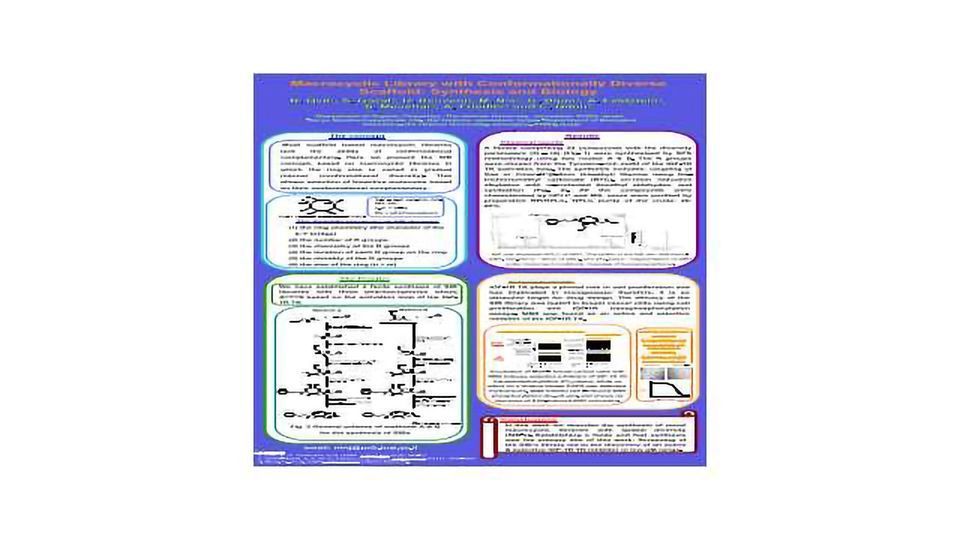 大环的图书馆与构象上不同支架:合成和生物学内容块的形象