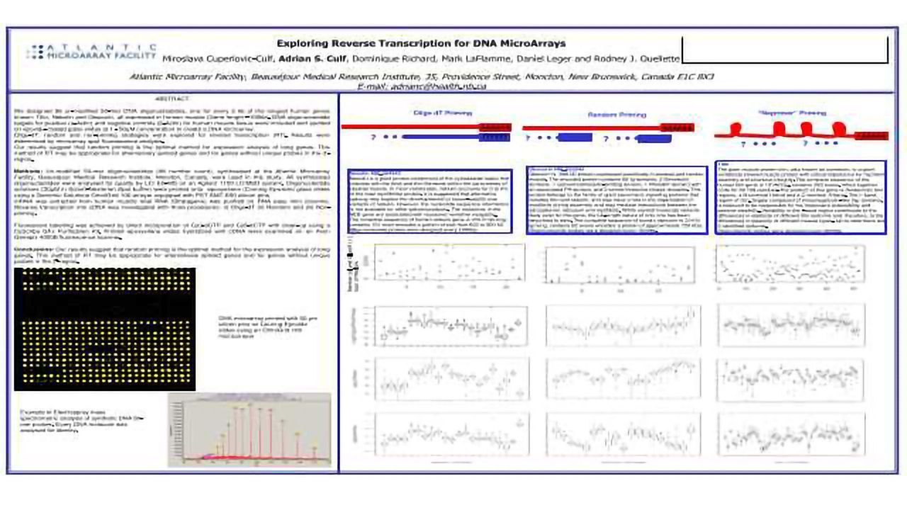 Exploring Reverse Transcription for DNA MicroArrays