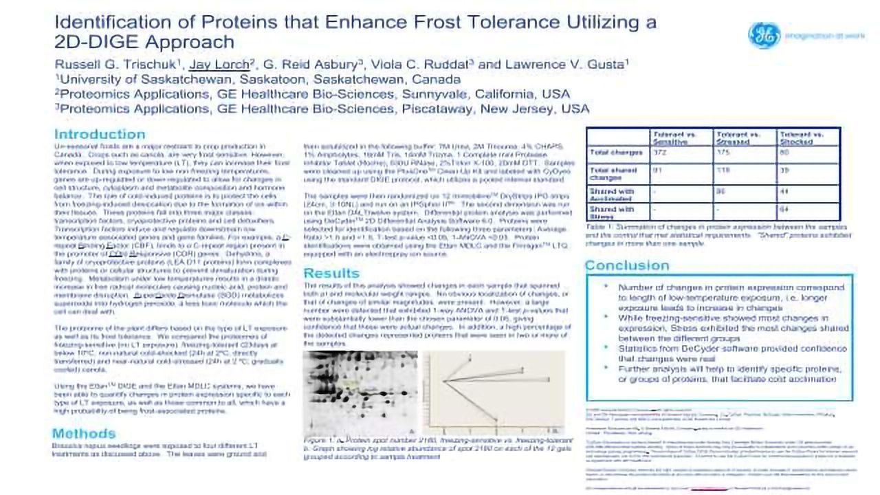 Identification of Proteins that Enhance Frost Tolerance Utilizing a 2D-DIGE Approach
