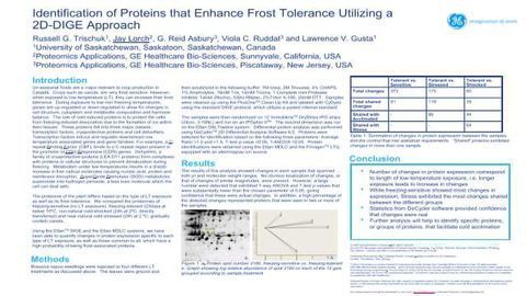 Identification of Proteins that Enhance Frost Tolerance Utilizing a 2D-DIGE Approach