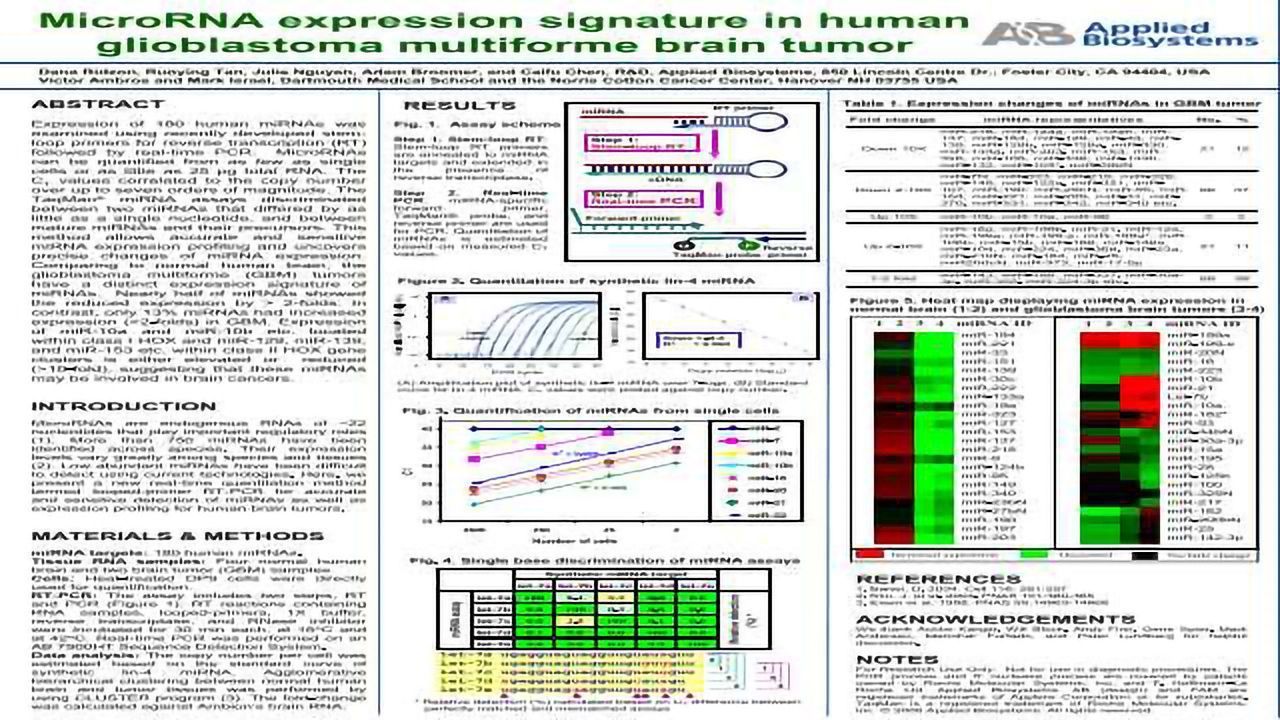 MicroRNA Expression Signature in Human Glioblastoma Multiforme Brain Tumor