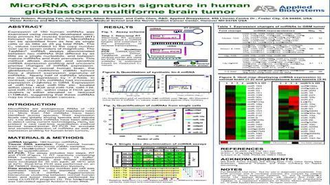 MicroRNA Expression Signature in Human Glioblastoma Multiforme Brain Tumor