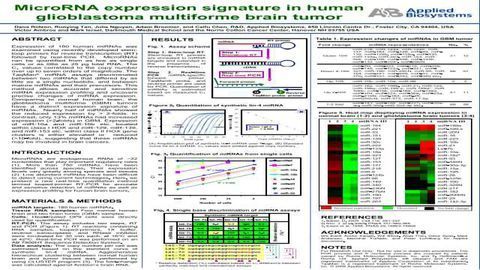 人胶质母细胞瘤多形脑肿瘤中的microRNA表达特征
