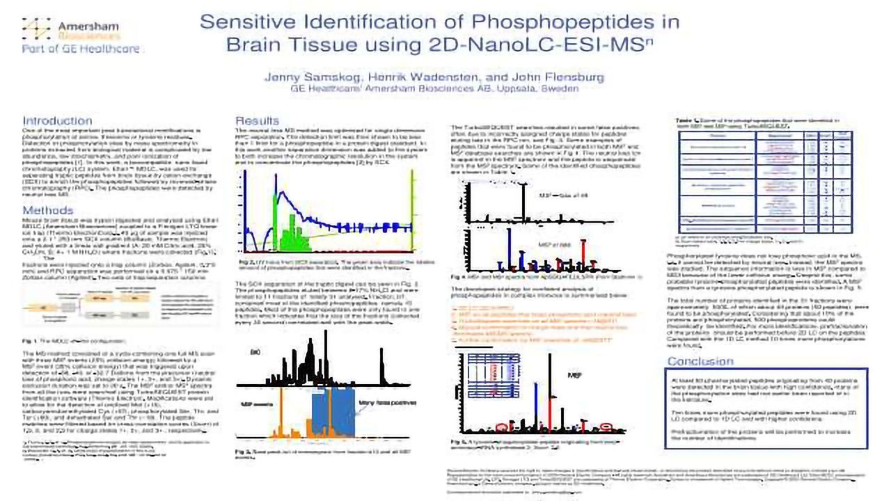 Sensitive Identification of Phosphopeptides in Brain Tissue using 2D-NanoLC-ESI-MS<sup>n</sup>