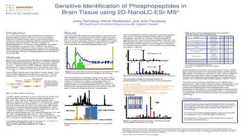 Sensitive Identification of Phosphopeptides in Brain Tissue using 2D-NanoLC-ESI-MS<sup>n</sup> Sensitive Identification of Phosphopeptides in Brain Tissue using 2D-NanoLC-ESI-MS<sup>n</sup>