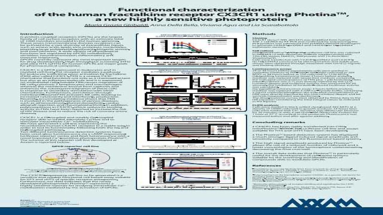 Functional Characterization of the Human Fractalkine Receptor CX3CR1 Using Photina™, a new Highly Sensitive Photoprotein