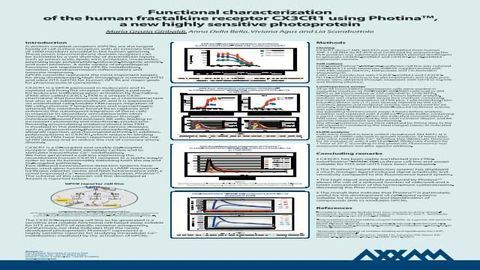 Functional Characterization of the Human Fractalkine Receptor CX3CR1 Using Photina™, a new Highly Sensitive Photoprotein Functional Characterization of the Human Fractalkine Receptor CX3CR1 Using Photina™, a new Highly Sensitive Photoprotein