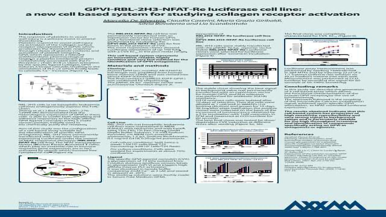 GPVI-RBL-2H3-NFAT-Re Luciferase Cell Line: a New Cell Based System for Studying Collagen Receptor Activation