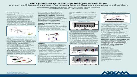 GPVI-RBL-2H3-NFAT-Re Luciferase Cell Line: a New Cell Based System for Studying Collagen Receptor Activation GPVI-RBL-2H3-NFAT-Re Luciferase Cell Line: a New Cell Based System for Studying Collagen Receptor Activation