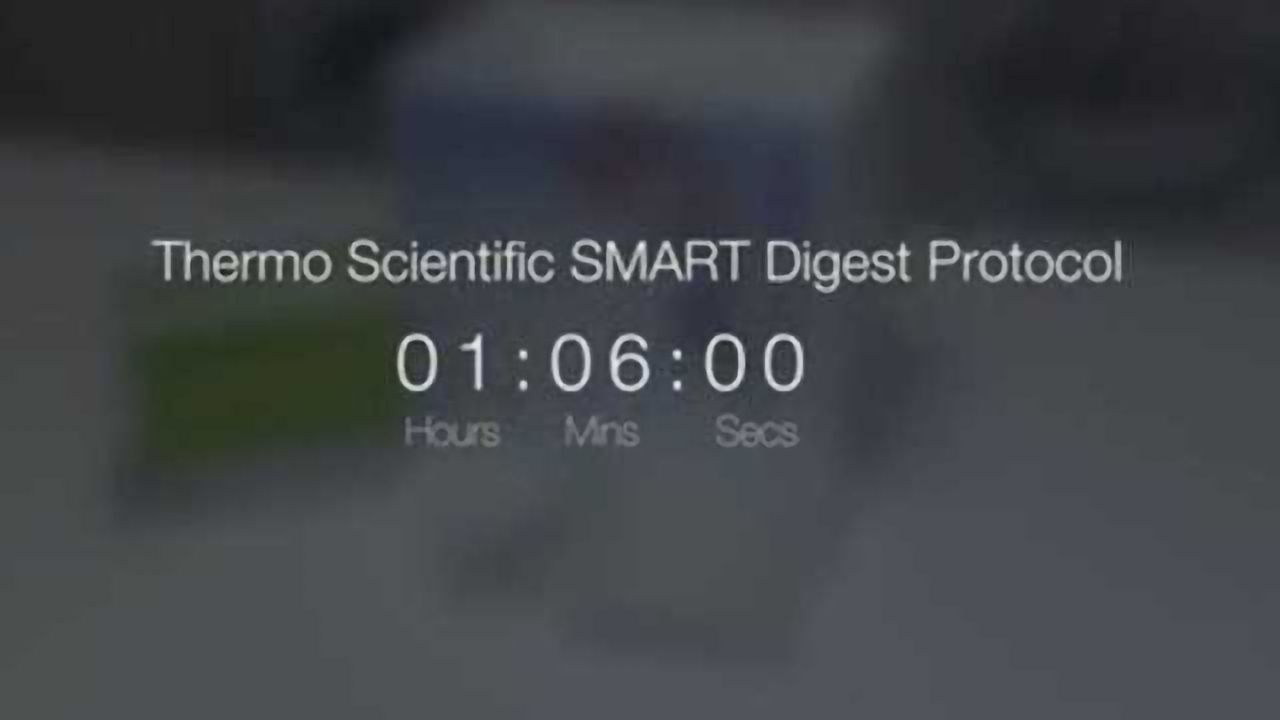 Get Smart with Protein Digestion